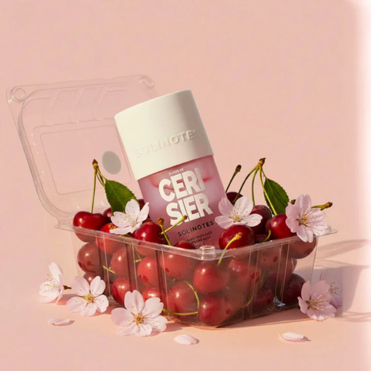 Fleur de Cerisier