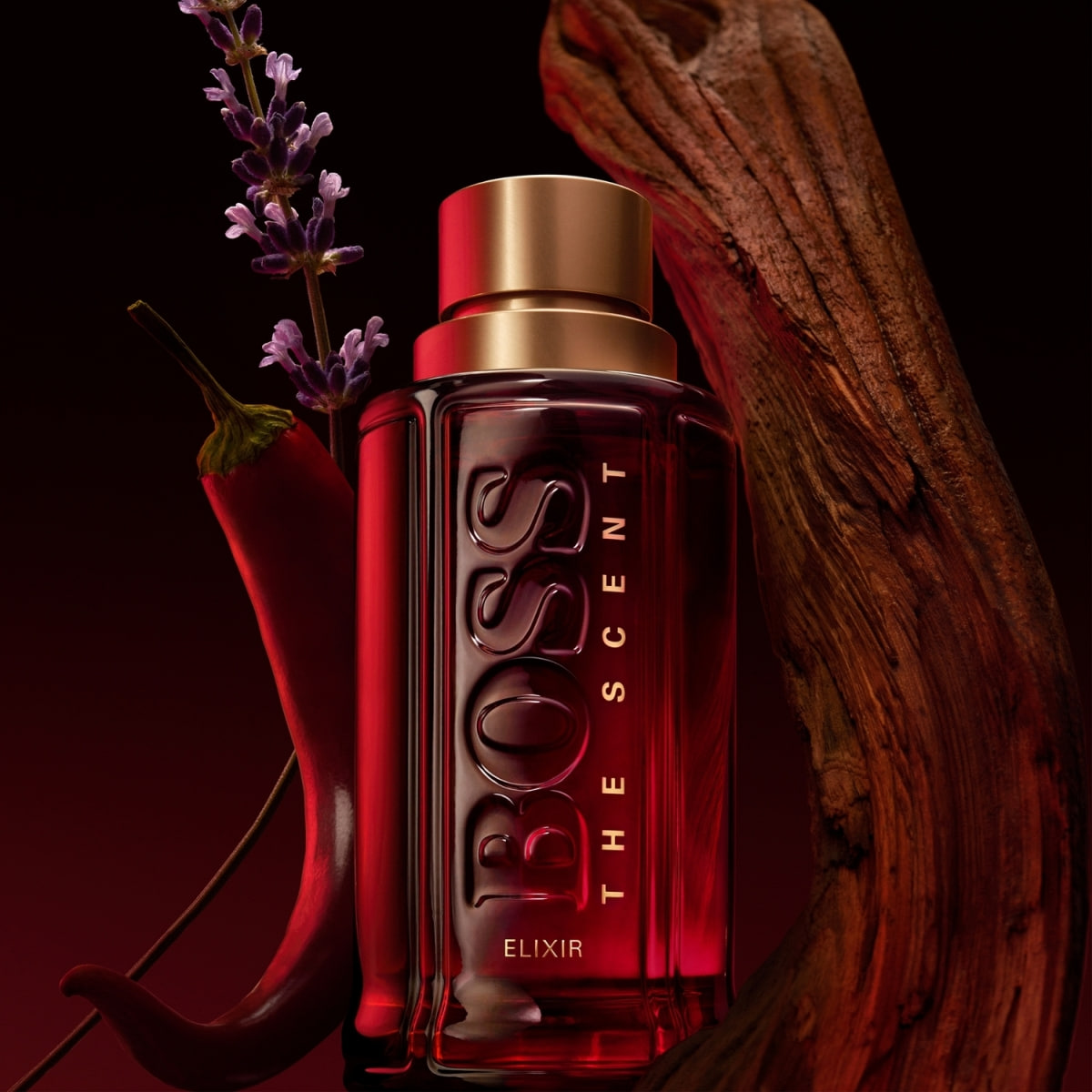 Elixir for Him