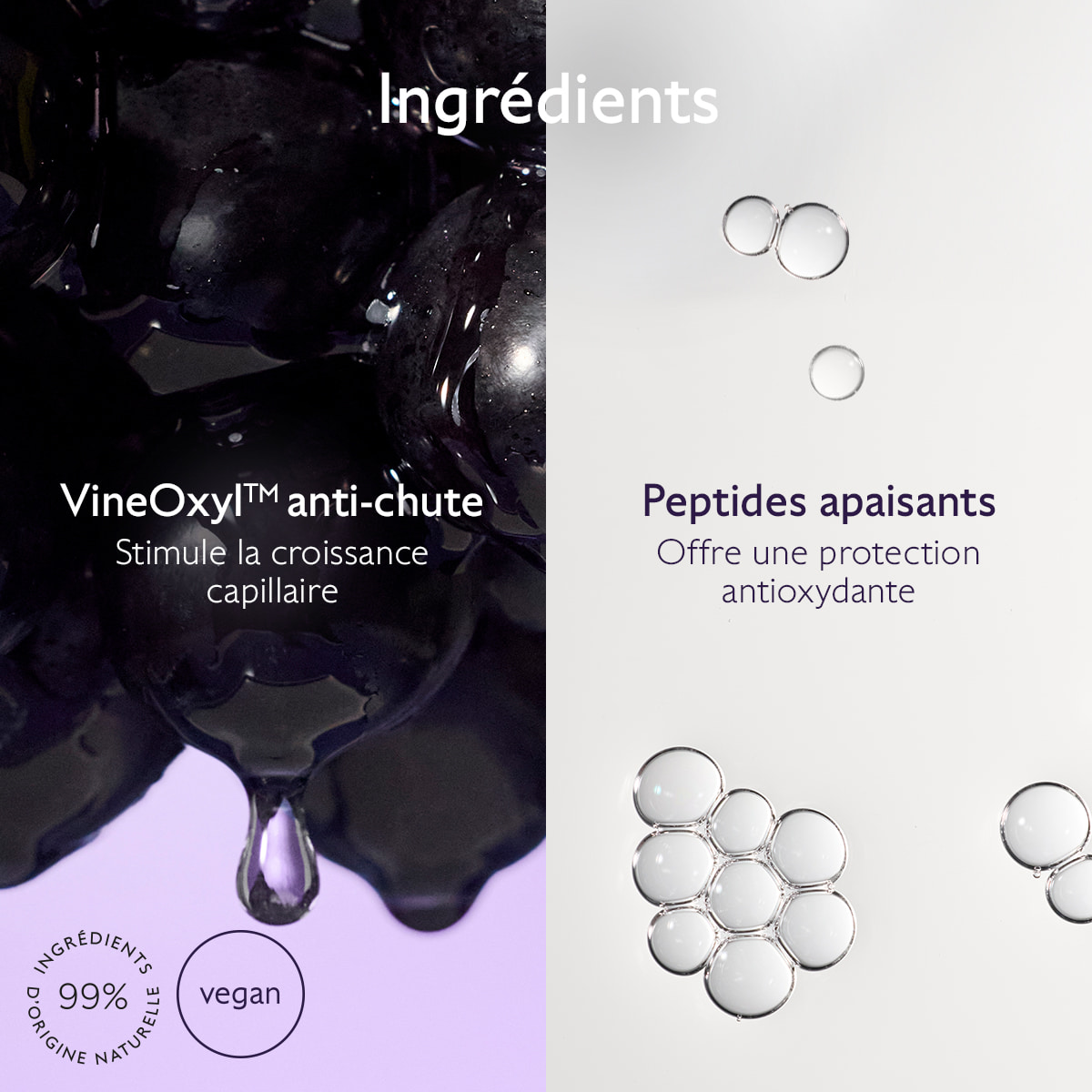 Sérum Capillaire Anti-Chute