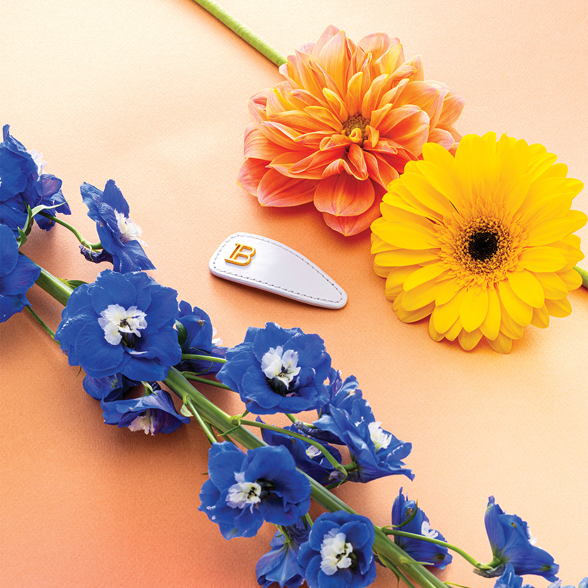 Printemps Leather Snap Hair Clip