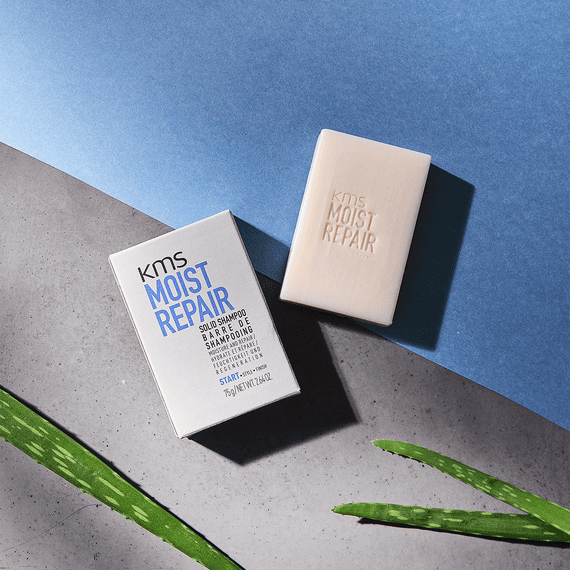 Solid Shampoo