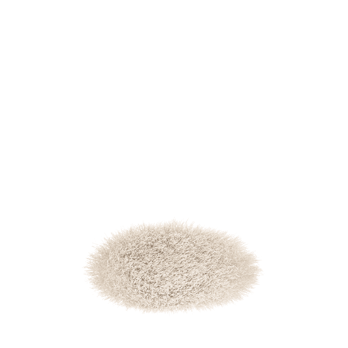 #135S Large Flat Powder Brush