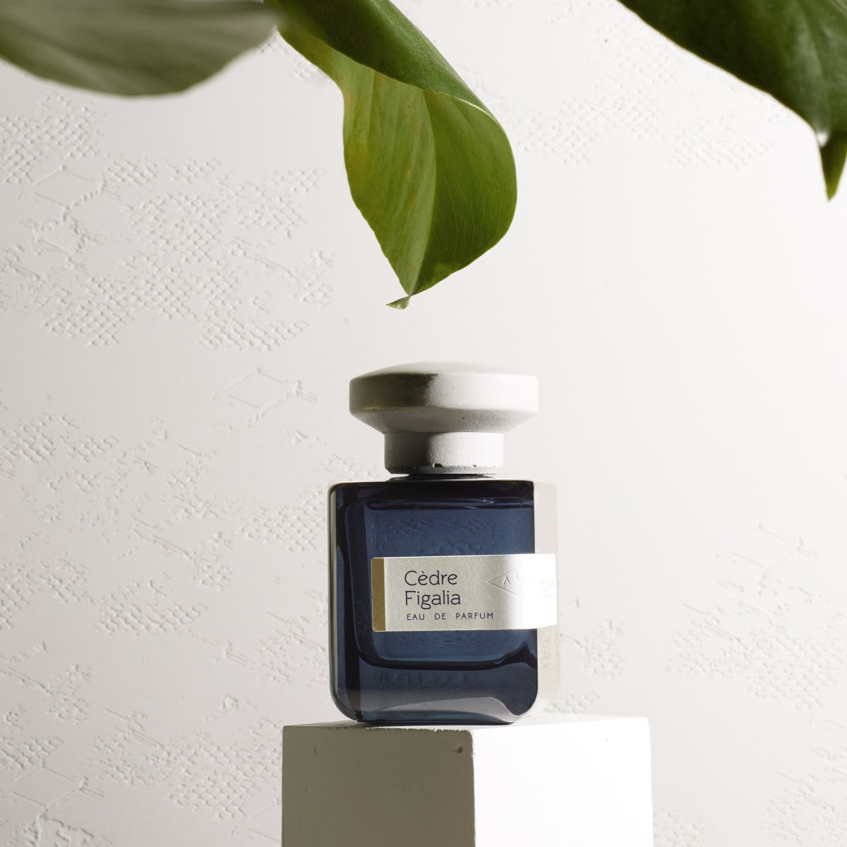 Cèdre Figalia Eau de Parfum