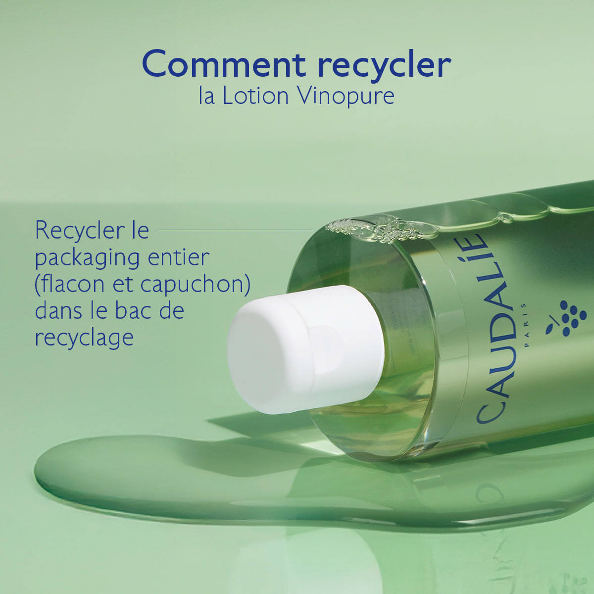 Lotion Purifiante