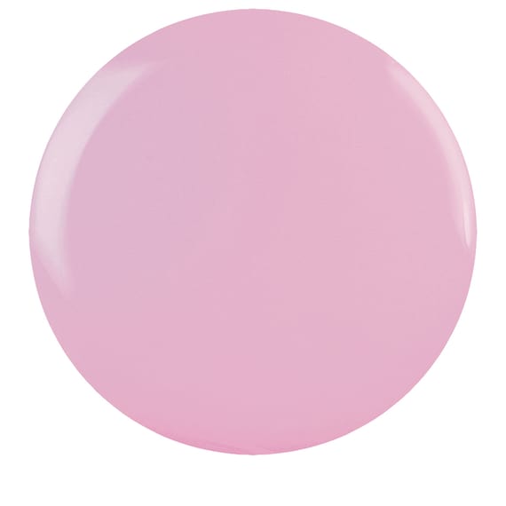 Cake Pop