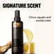 Definition Spray