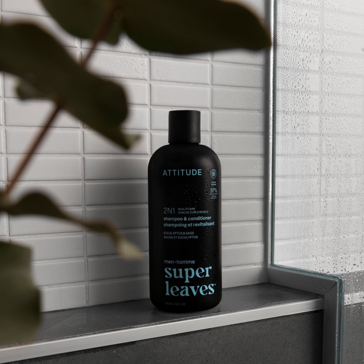 Shampoo & balsamo 2 in 1 cura del cuoio capelluto eucalipto & salvia