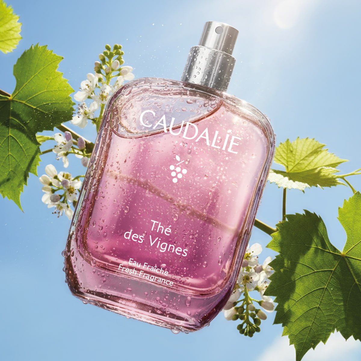 Eau Fraîche