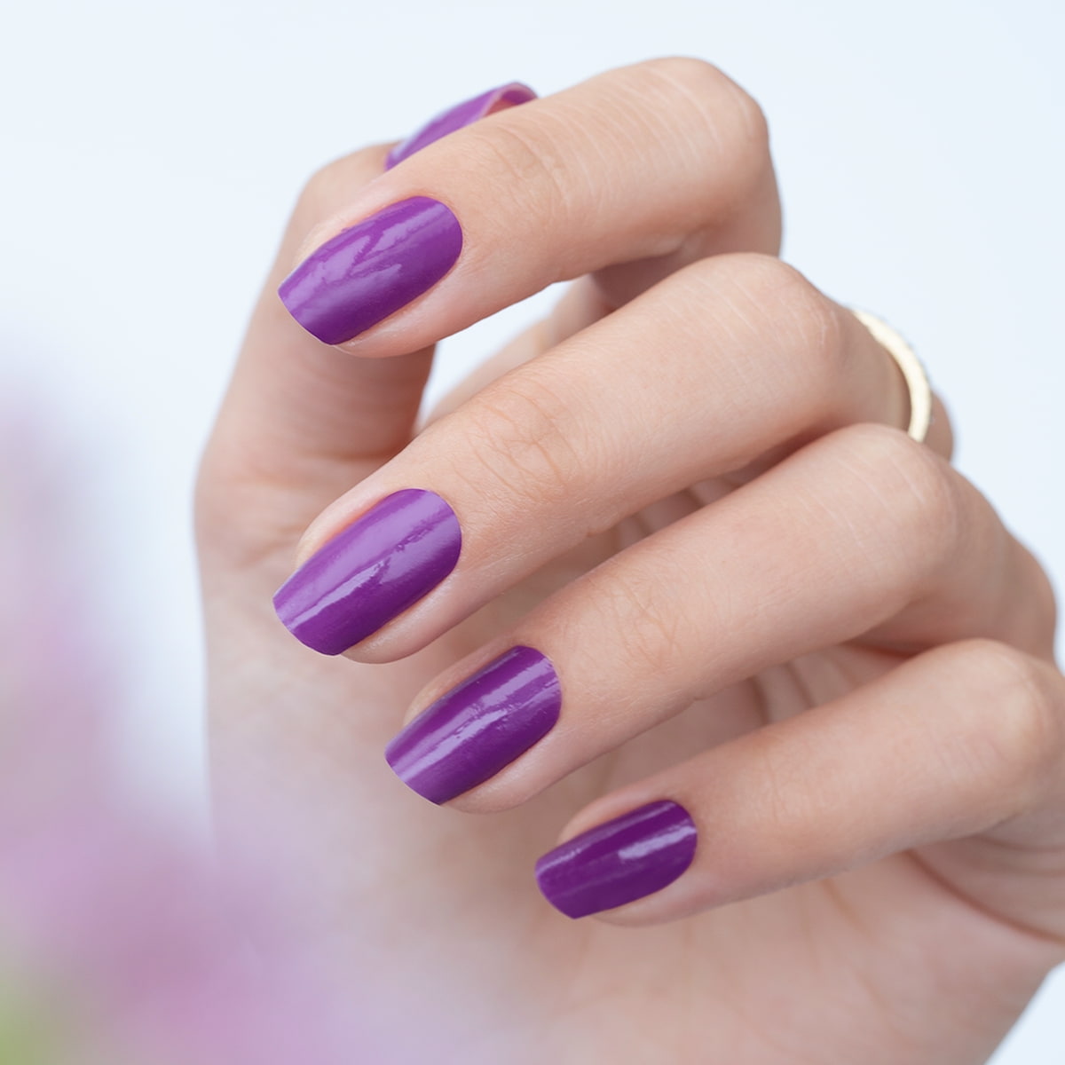 Aubergine UV