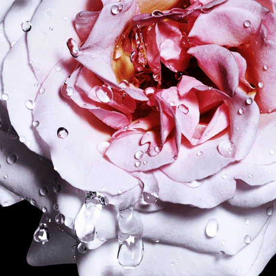 Reborn Woman - Eau de Toilette