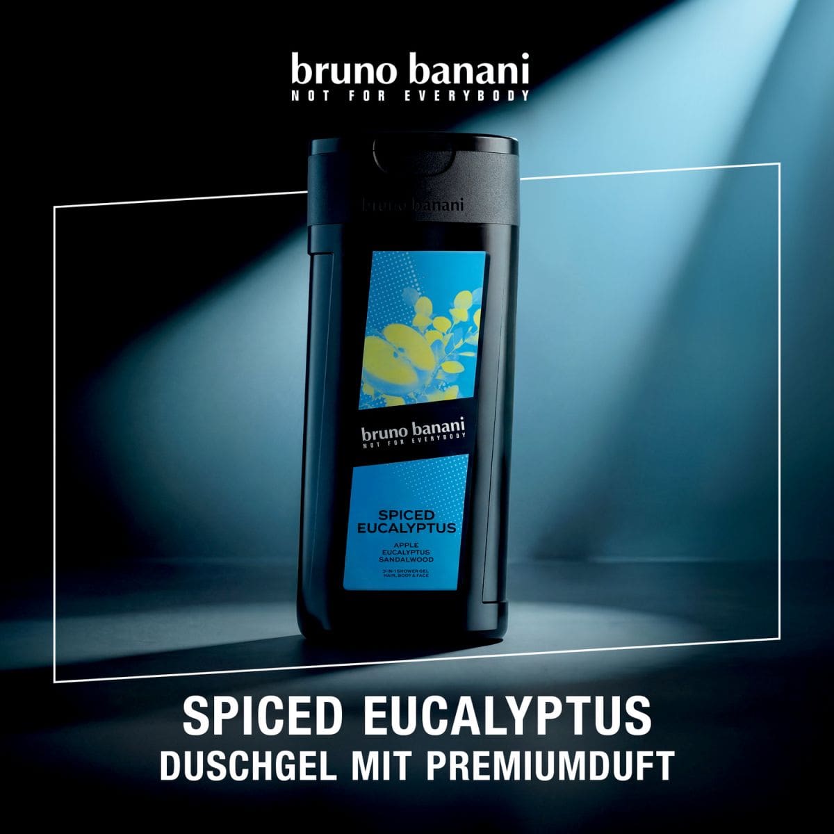 Spiced Eucalyptus Shower Gel