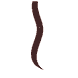 Tape Extensions 50/55 cm Meches