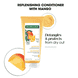 Nourishing Conditioner for Dry Hair with Mango