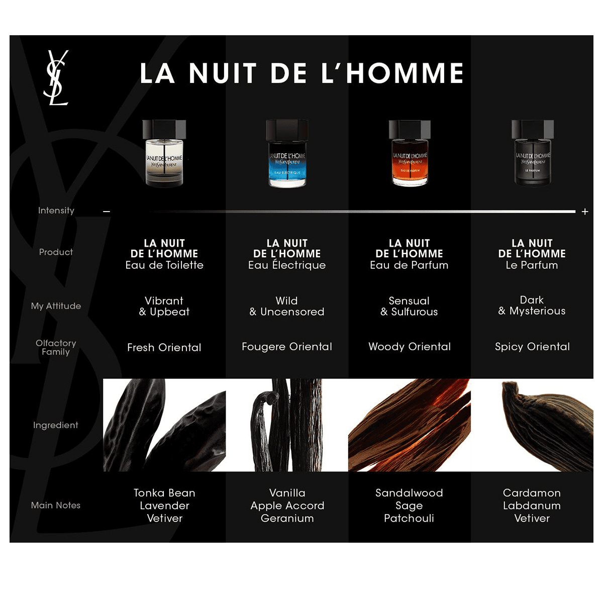 La Nuit de l'Homme Le Parfum