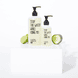 Cucumber Lime Soap