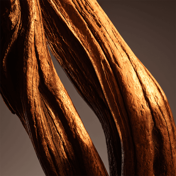 Parfum
