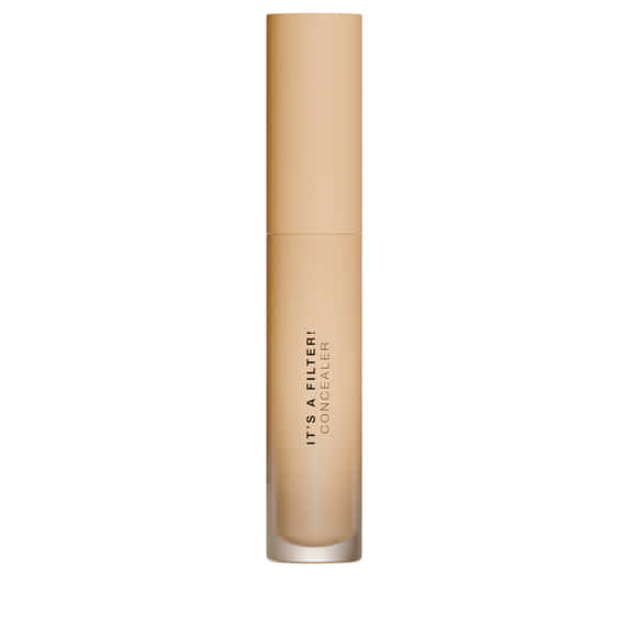 Filter Smoothing Perfecting Concealer - 133W