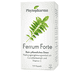 Ferrum Forte Kapseln – 100 Stk.