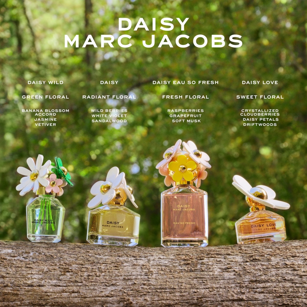 Wild Eau de Parfum Refillable