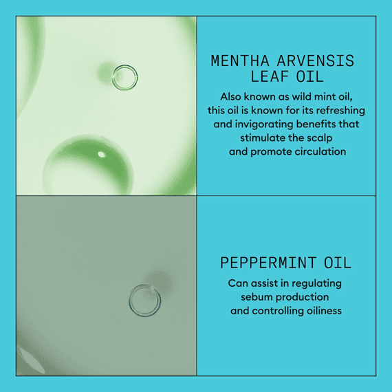 Scalp + Hair Conditioner