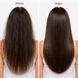 Protein-Repair Conditioner