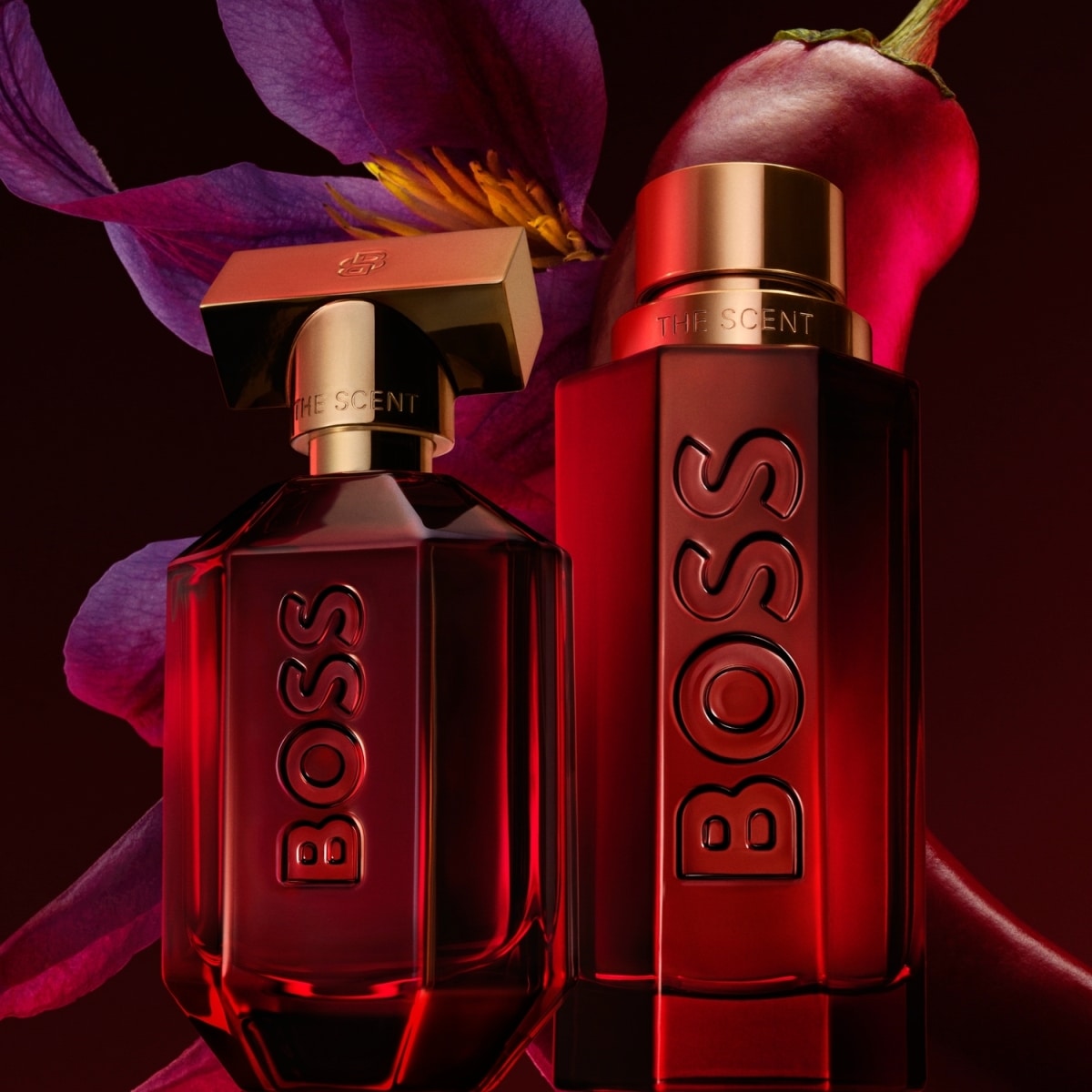 Elixir For Him