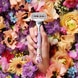 Rifle Paper Co. Edition Replacement Blades - Pack of 3