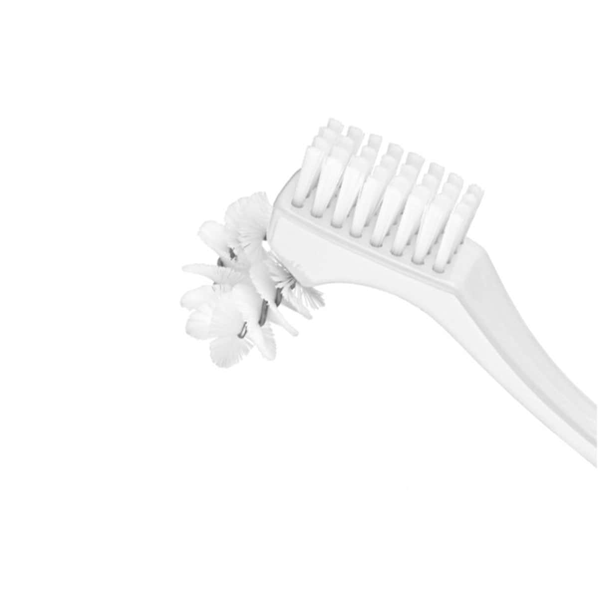 BDC Brosse pour prothèses dentaires