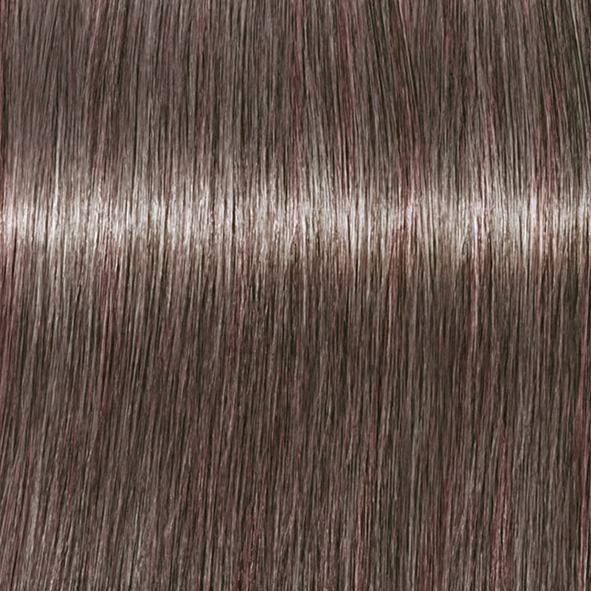 Igora