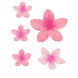 Frangipani Set Haarklammern & Clip
