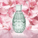 Eau de Toilette