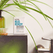 Solid Sensitive Shampoo