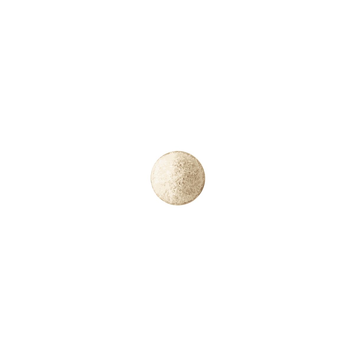 #219S Pencil Brush