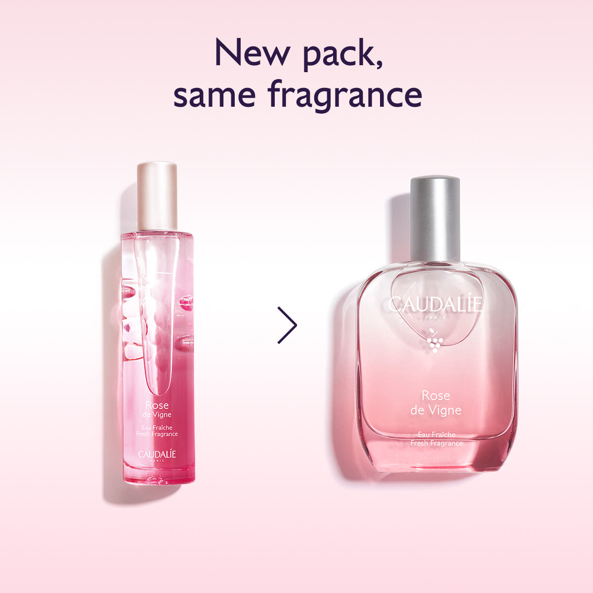 Fresh Fragrance