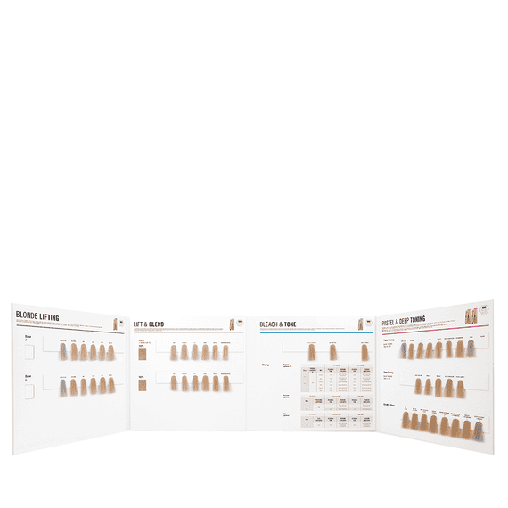 Scheda colore BlondMe