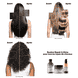 Absolut Repair Molecular Bi-Phase Oil