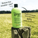 One Ginger Morning Mini Shower