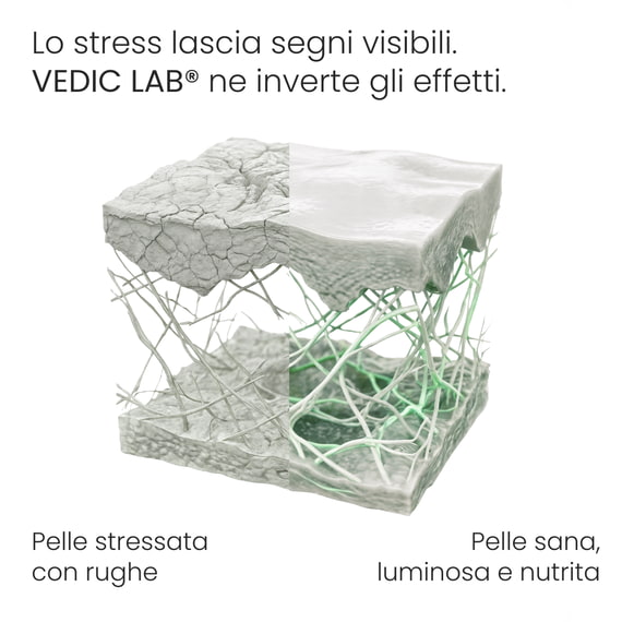 Crema giorno energizzante