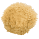 Body Sponge