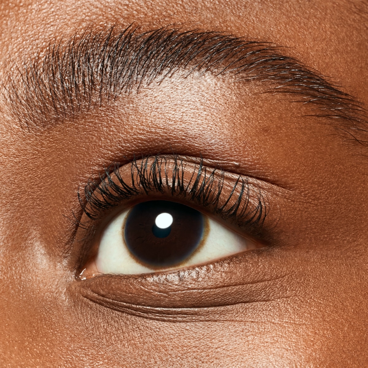 Lash & Brow Gel Mascara