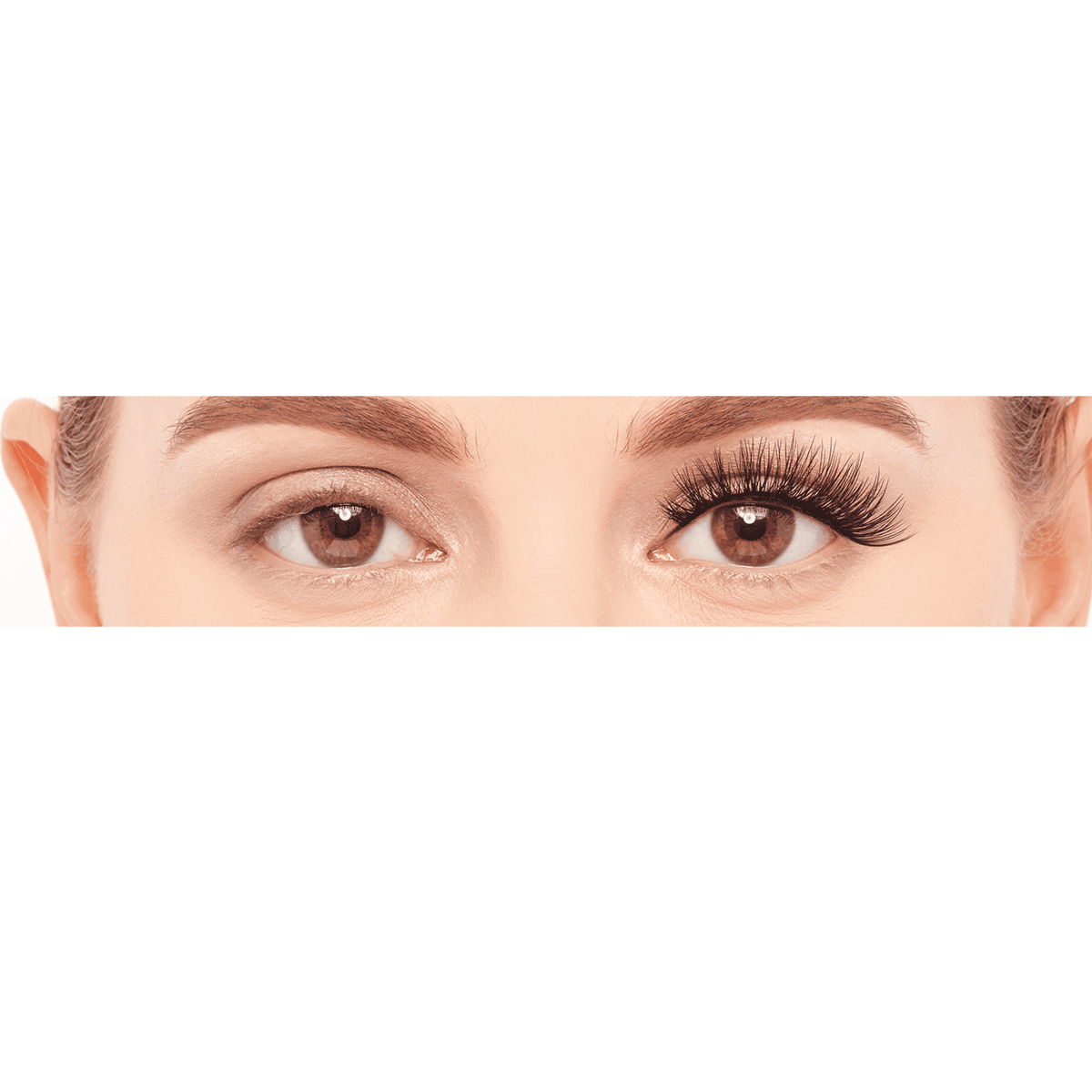 Wimpern Most Wanted – #Have2Have