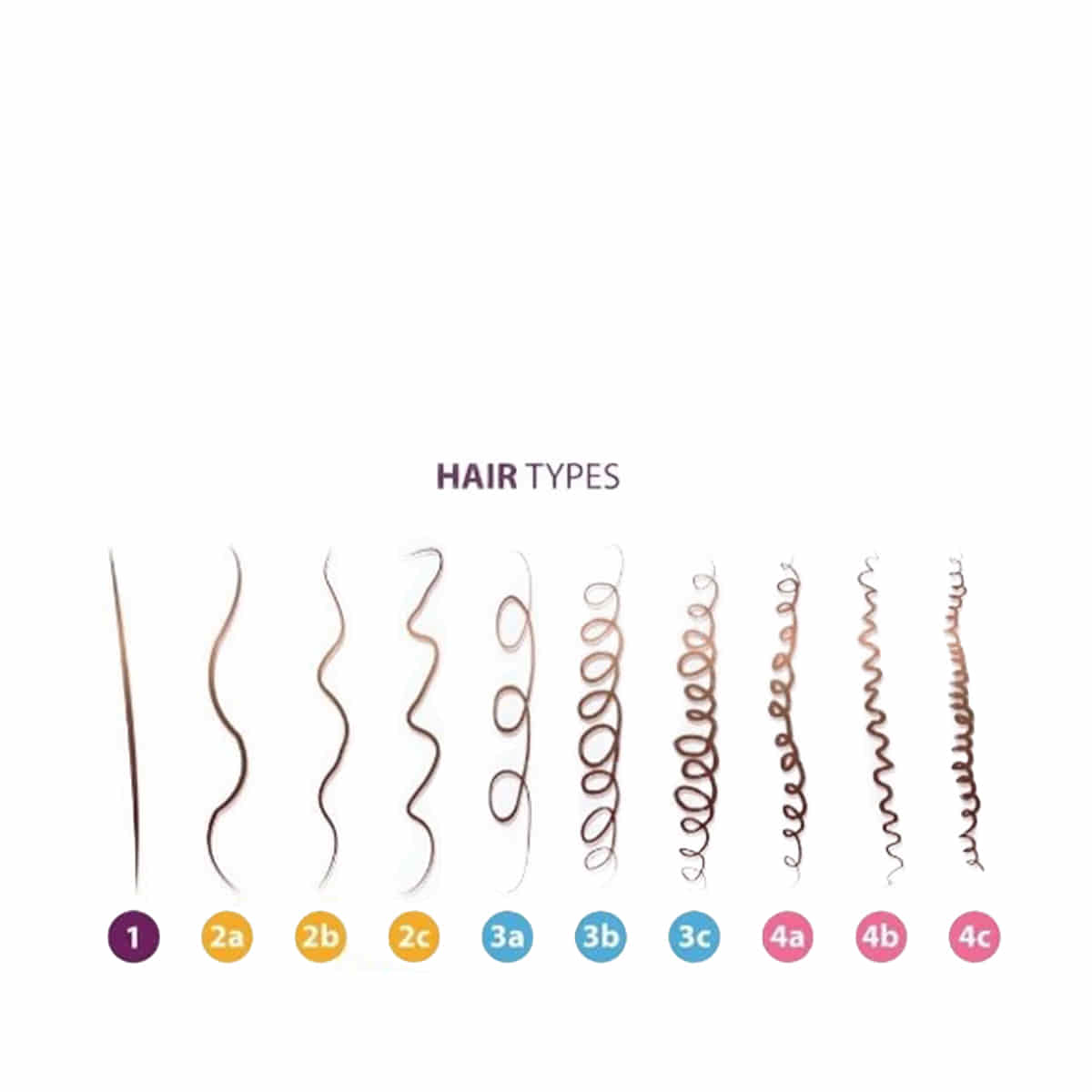 Shampoo for Curly Hair