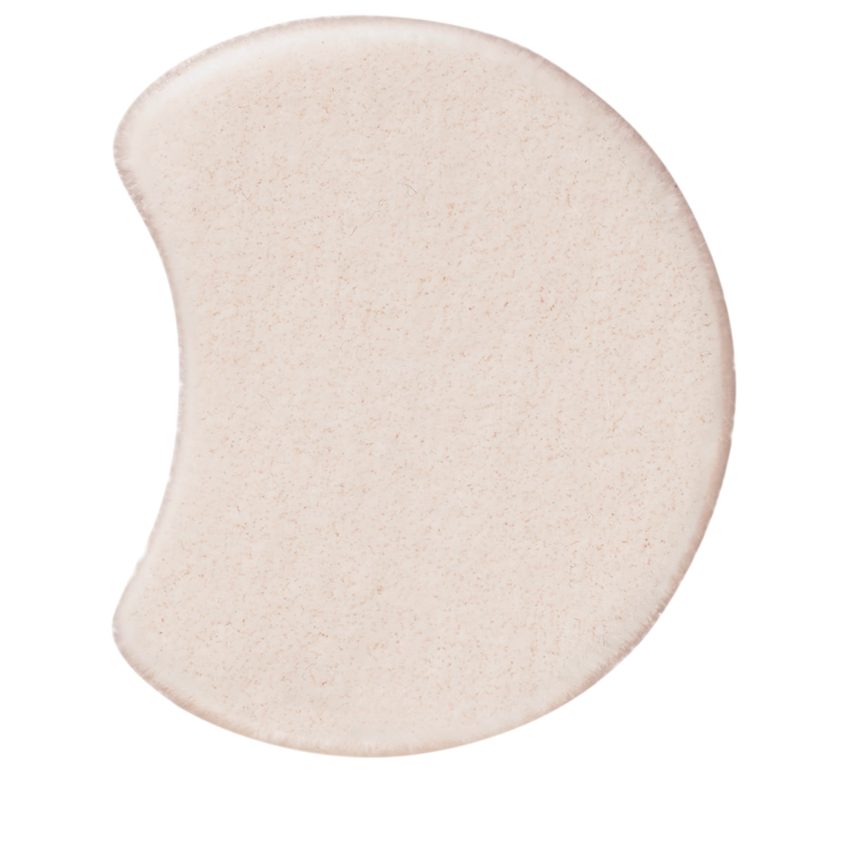 Foundation Sponge