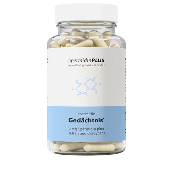 Spermidine Memory