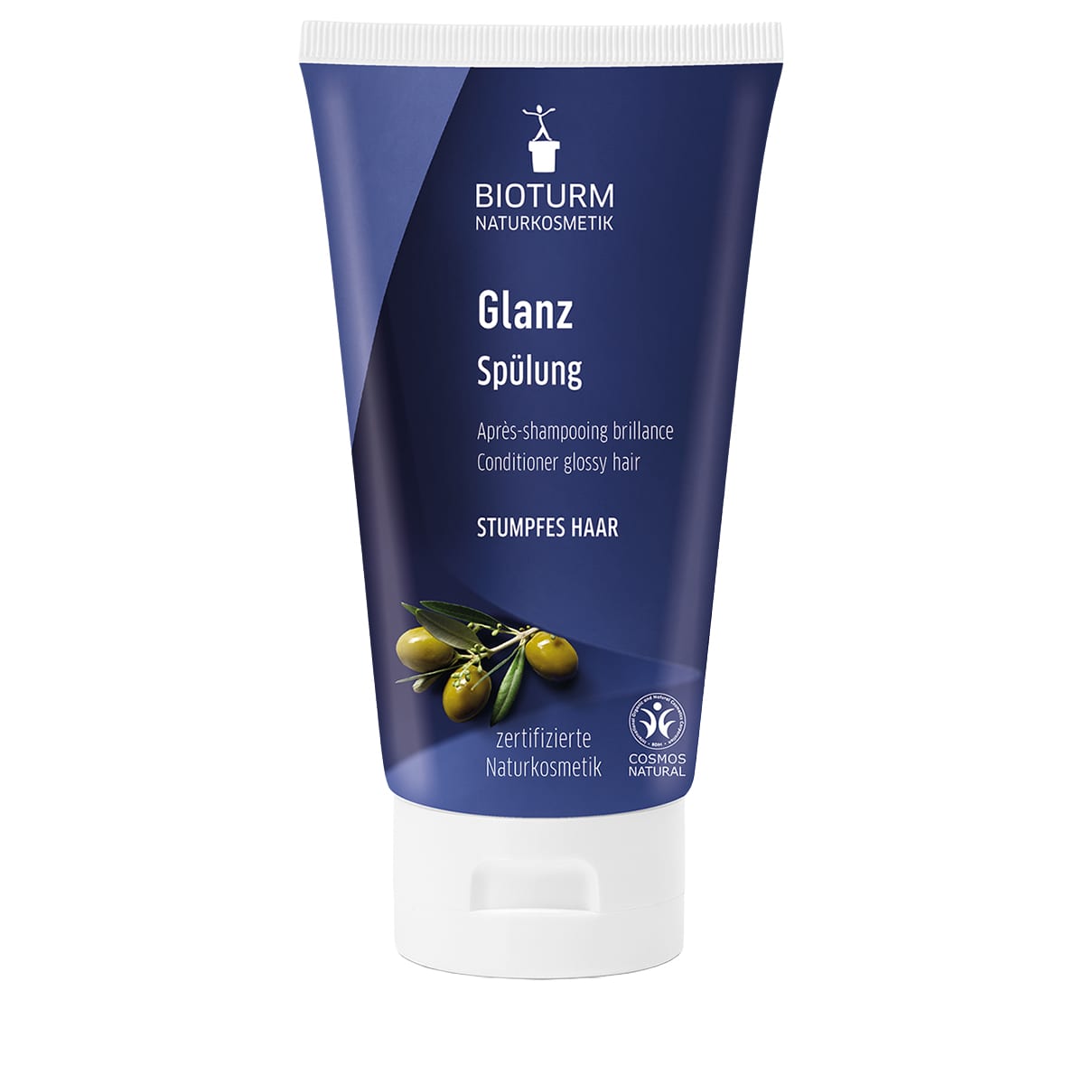 Shine Conditioner