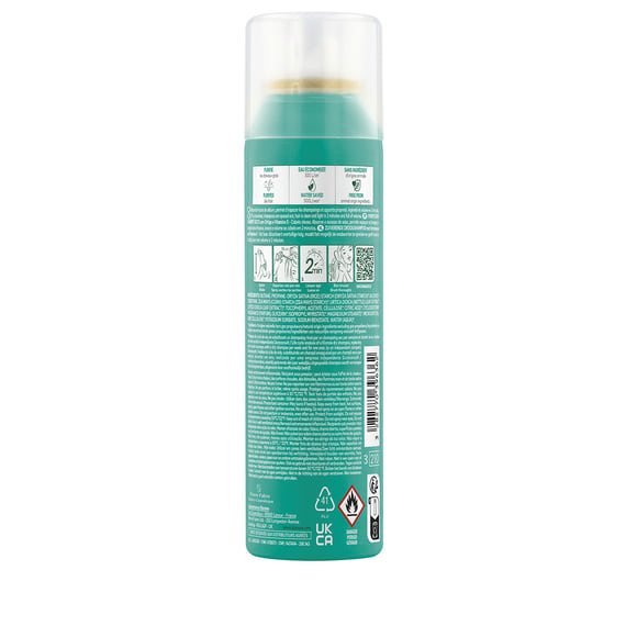 Shampooing Sec pour Cheveux Gras