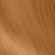 Colorsmetique HC 8.34 Hellblond Gold-Kupfer