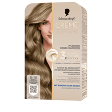 Coloration 8-16 Kühles Aschblond