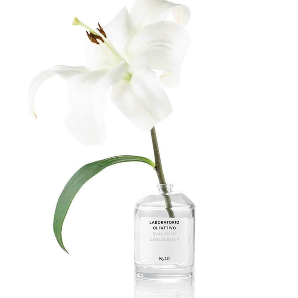 MyLO Eau de Parfum 