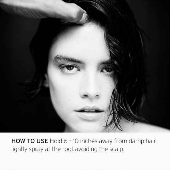 Clean Stylers Root Lift